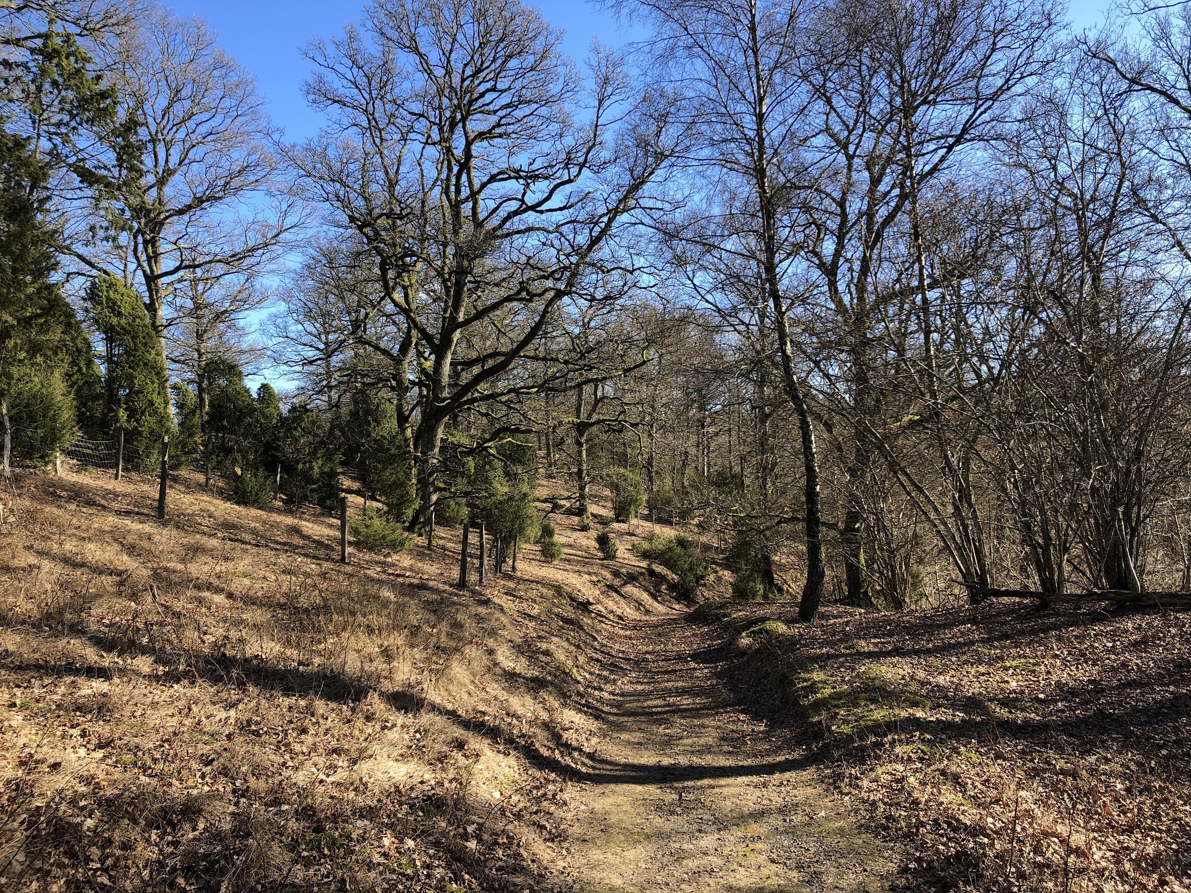 Sumpafallen Nature Reserve